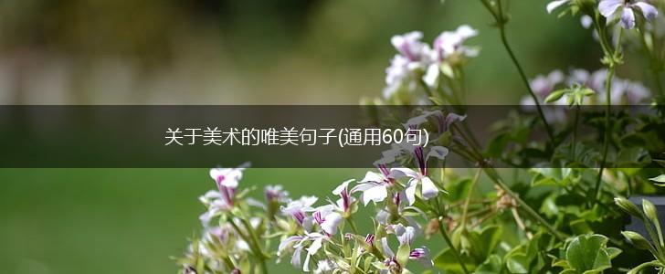 关于美术的唯美句子(通用60句),第1张