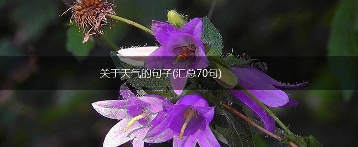 关于天气的句子(汇总70句),第1张