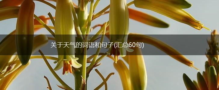 关于天气的词语和句子(汇总60句),第1张
