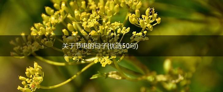 关于节电的句子(优选50句),第1张