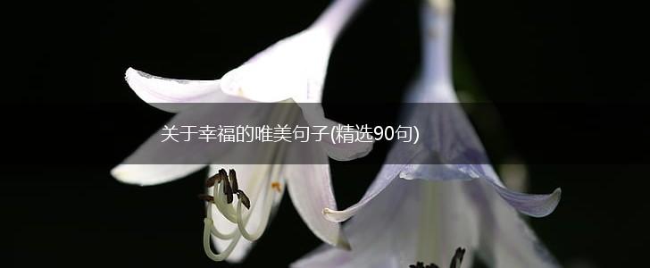 关于幸福的唯美句子(精选90句),第1张