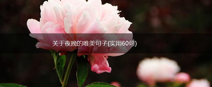 关于夜晚的唯美句子(实用60句),第1张