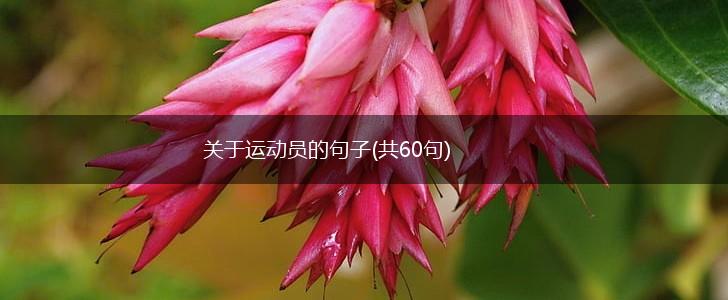 关于运动员的句子(共60句),第1张