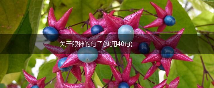 关于眼神的句子(实用40句),第1张