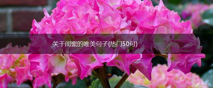关于闺蜜的唯美句子(热门50句),第1张