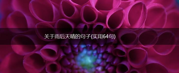 关于雨后天晴的句子(实用64句),第1张