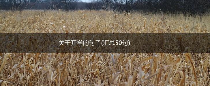 关于开学的句子(汇总50句),第1张