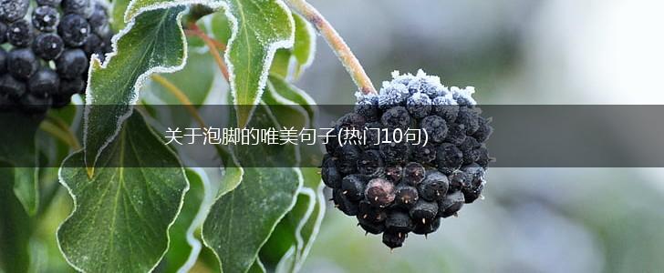 关于泡脚的唯美句子(热门10句),第1张