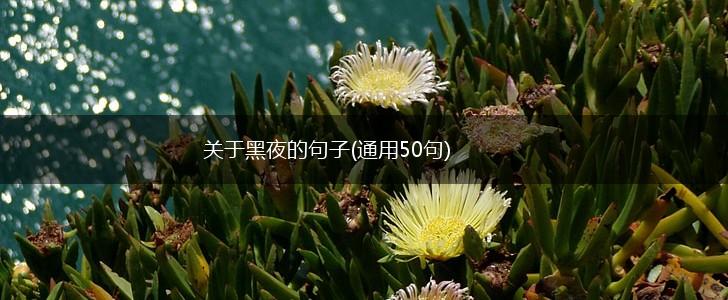 关于黑夜的句子(通用50句),第1张