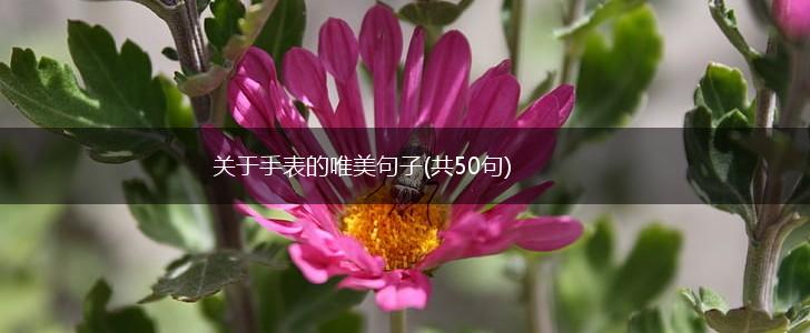 关于手表的唯美句子(共50句),第1张