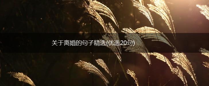 关于离婚的句子精选(优选20句),第1张