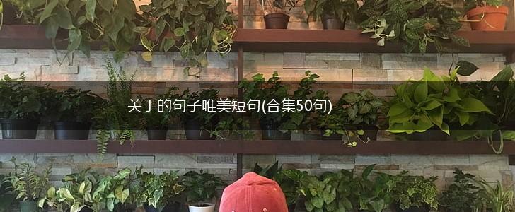 关于的句子唯美短句(合集50句),第1张