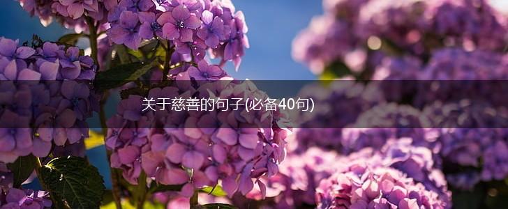关于慈善的句子(必备40句),第1张