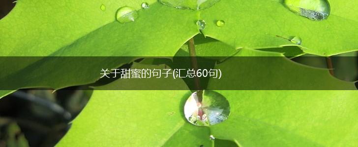 关于甜蜜的句子(汇总60句),第1张