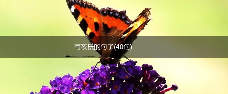 写夜景的句子(40句),第1张