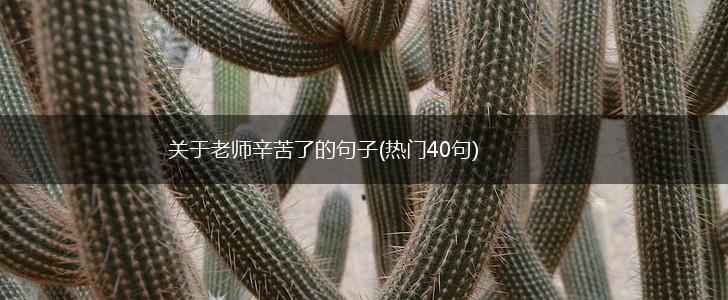 关于老师辛苦了的句子(热门40句),第1张