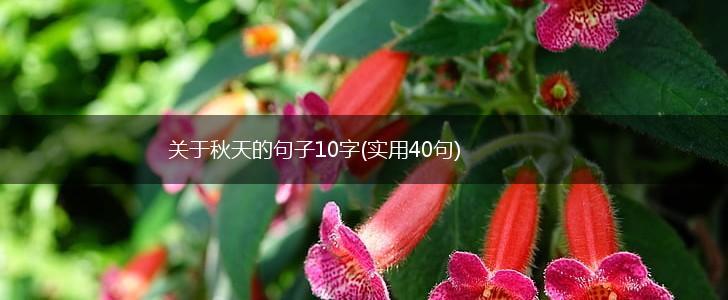 关于秋天的句子10字(实用40句),第1张