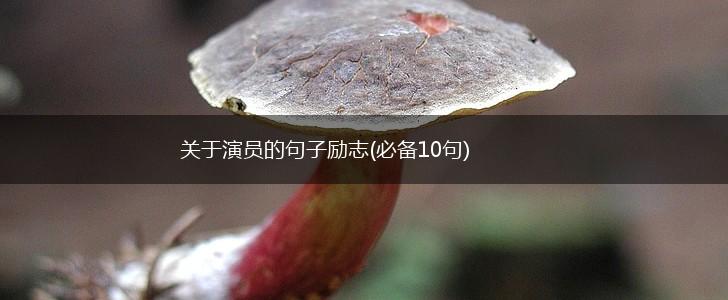 关于演员的句子励志(必备10句),第1张