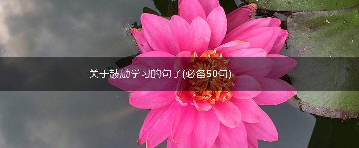 关于鼓励学习的句子(必备50句),第1张
