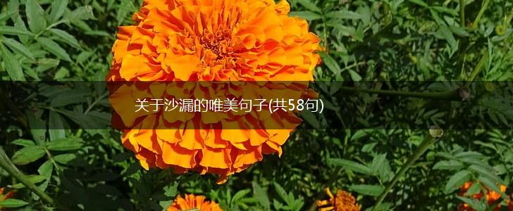 关于沙漏的唯美句子(共58句),第1张
