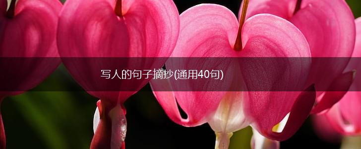 写人的句子摘抄(通用40句),第1张