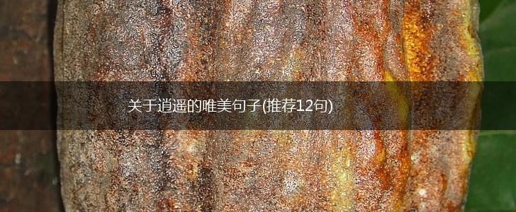 关于逍遥的唯美句子(推荐12句),第1张