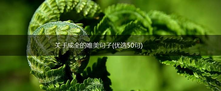 关于成全的唯美句子(优选50句),第1张