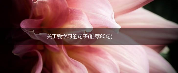 关于爱学习的句子(推荐80句),第1张