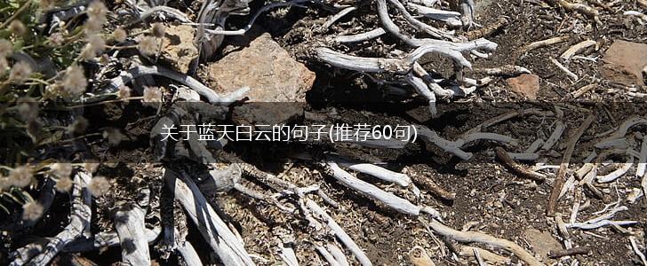 关于蓝天白云的句子(推荐60句),第1张