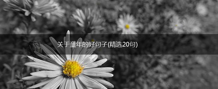 关于童年的好句子(精选20句),第1张