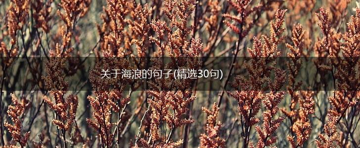 关于海浪的句子(精选30句),第1张