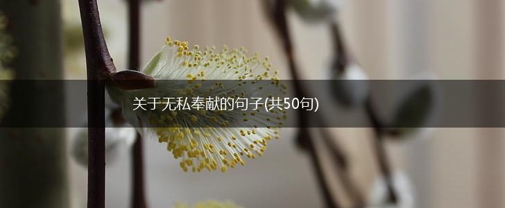 关于无私奉献的句子(共50句),第1张