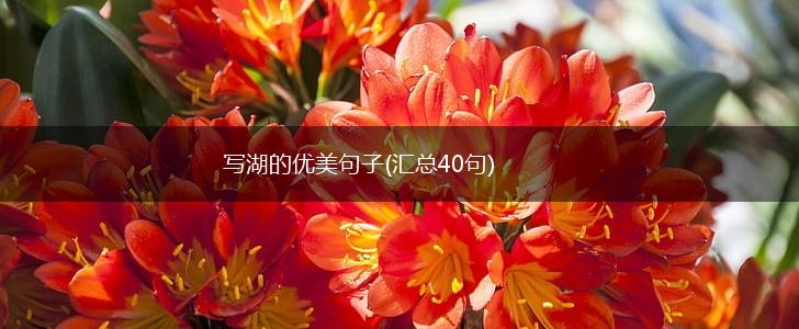 写湖的优美句子(汇总40句),第1张