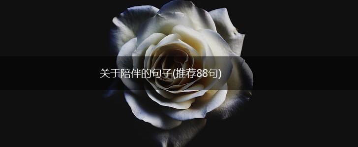关于陪伴的句子(推荐88句),第1张