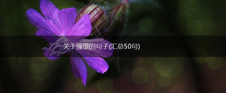 关于憧憬的句子(汇总50句),第1张