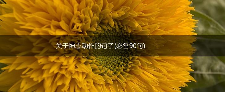 关于神态动作的句子(必备90句),第1张