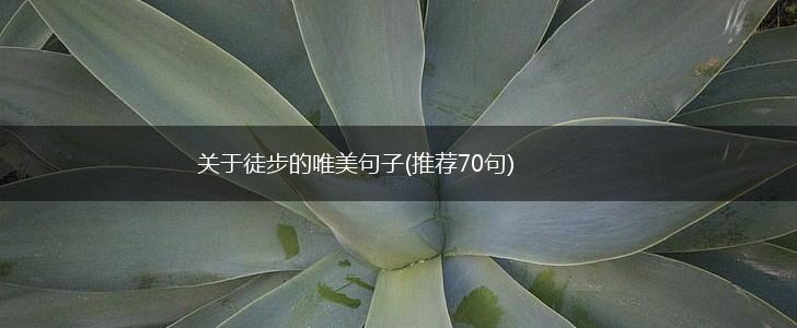 关于徒步的唯美句子(推荐70句),第1张