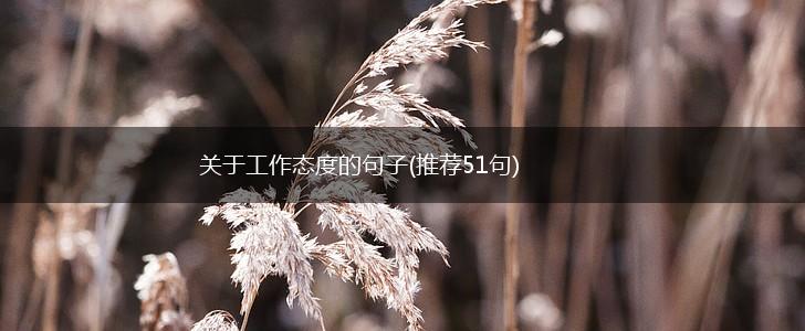 关于工作态度的句子(推荐51句),第1张