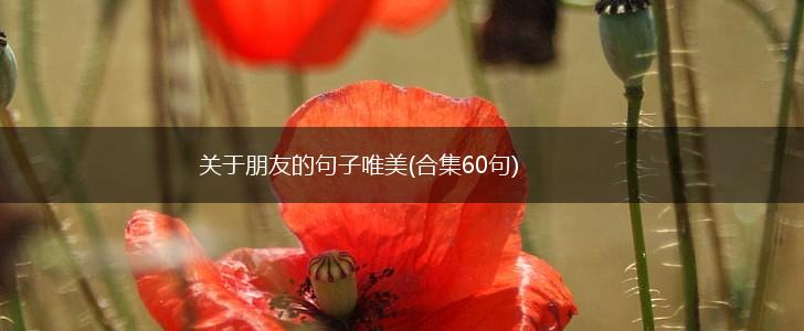 关于朋友的句子唯美(合集60句),第1张