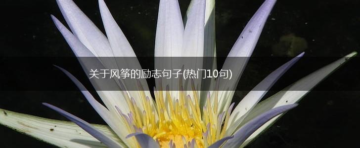 关于风筝的励志句子(热门10句),第1张