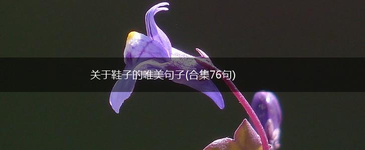 关于鞋子的唯美句子(合集76句),第1张