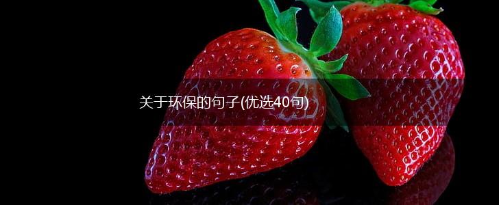 关于环保的句子(优选40句),第1张