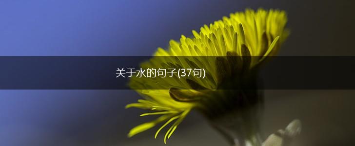 关于水的句子(37句),第1张
