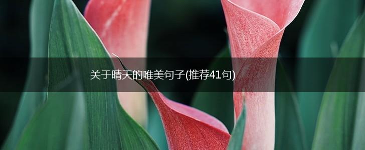 关于晴天的唯美句子(推荐41句),第1张