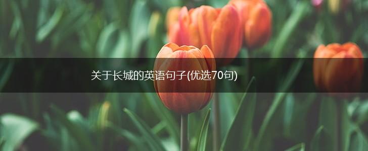 关于长城的英语句子(优选70句),第1张