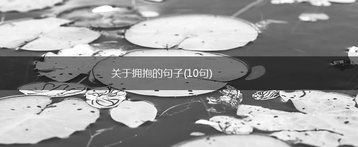 关于拥抱的句子(10句),第1张