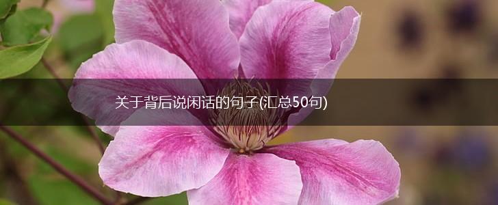 关于背后说闲话的句子(汇总50句),第1张