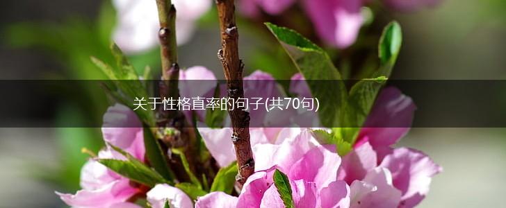关于性格直率的句子(共70句),第1张