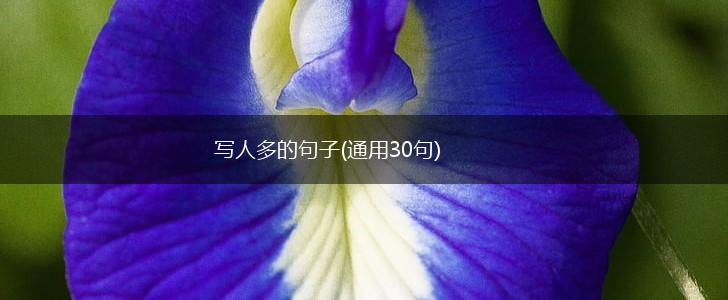 写人多的句子(通用30句),第1张