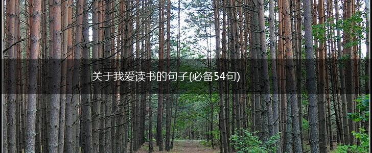 关于我爱读书的句子(必备54句),第1张